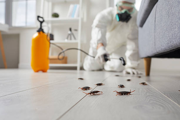 Commercial Kitchen Cockroach Control in La Crosse